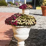 Hotel A Flor Da Rosa 4*