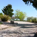 A Flor Da Rosa