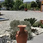 A Flor Da Rosa