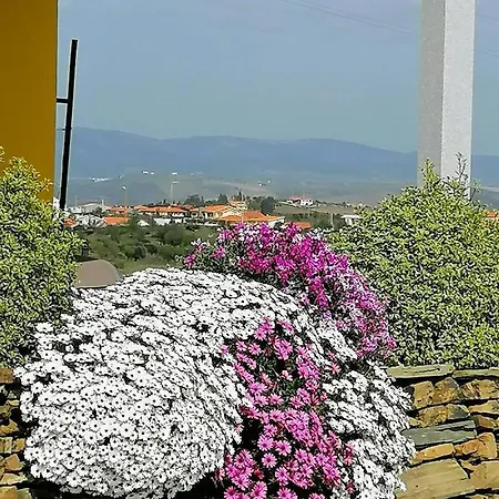 A Flor Da Rosa 호텔 4*