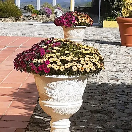 호텔 A Flor Da Rosa 4*