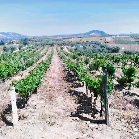 Hotel A Flor Da Rosa 4*