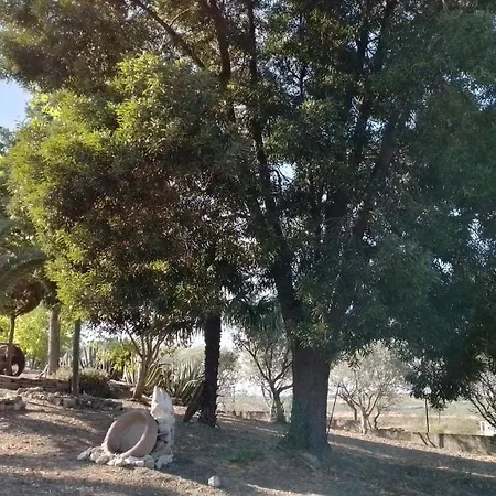 Szálloda A Flor Da Rosa 4*