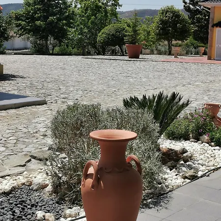 A Flor Da Rosa