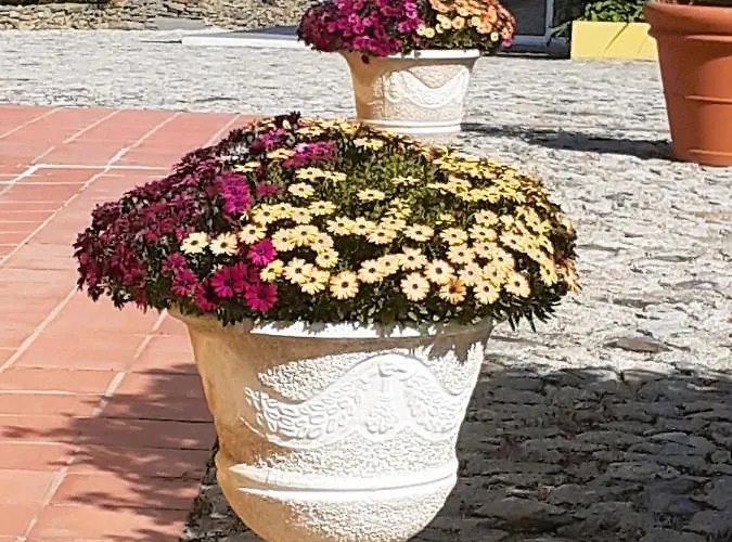 فندق A Flor Da Rosa 4*