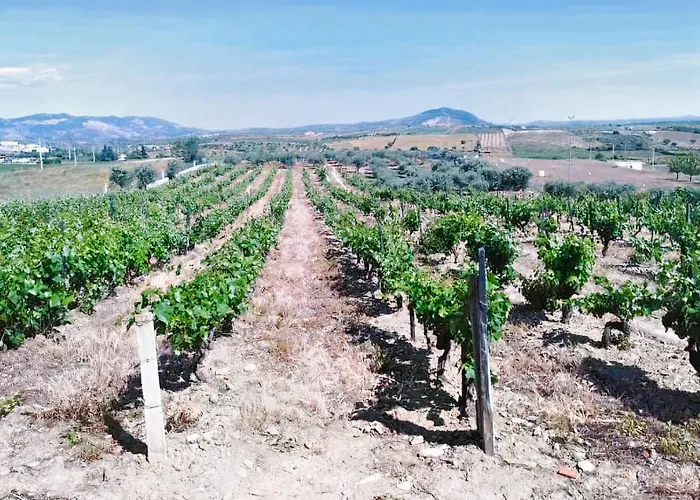 فندق A Flor Da Rosa 4*